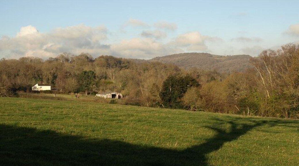 Field by the Templar Way A tree by the gate from this was taken casts its shadow across this field. The unnamed wood on the right, which straddles a northing gridline, contains the source of a small stream which feeds into a leat in Bovey Tracey. The buildings, at Five Wyches Farm, are in SX8078, and the distant hill is at Shaptor.