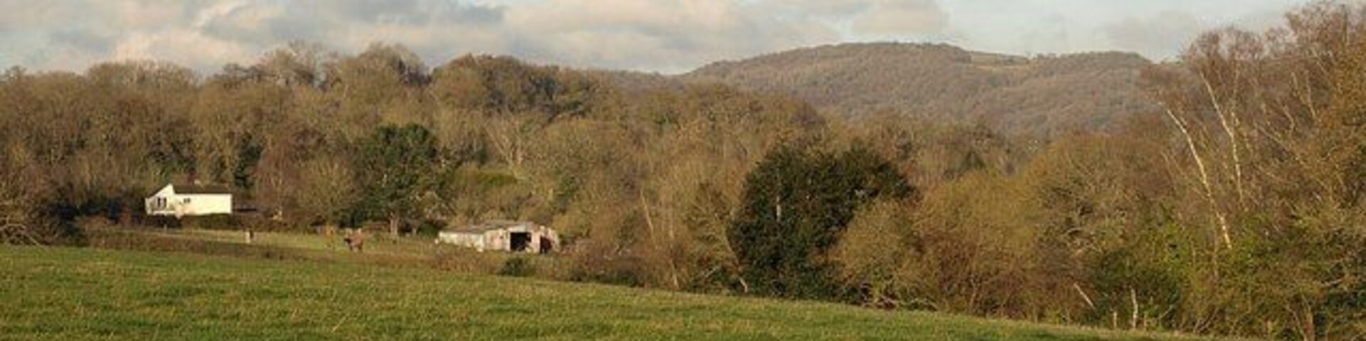Field by the Templar Way A tree by the gate from this was taken casts its shadow across this field. The unnamed wood on the right, which straddles a northing gridline, contains the source of a small stream which feeds into a leat in Bovey Tracey. The buildings, at Five Wyches Farm, are in SX8078, and the distant hill is at Shaptor.