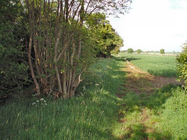 Bridleway The tree on the left is growing up through and round several large stones that may once have been the gatepost.