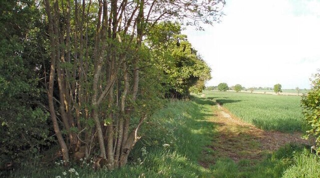 Bridleway The tree on the left is growing up through and round several large stones that may once have been the gatepost.