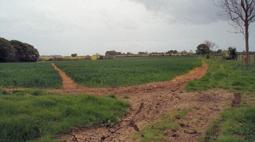 Footpaths Footpaths (left to right) and bridleway (behind photographer, leading up into the picture) cross over. The edge of Halse Copse can be seen on the left.