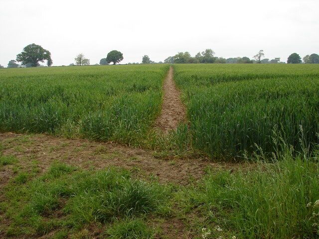 Back on the Straight and Narrow