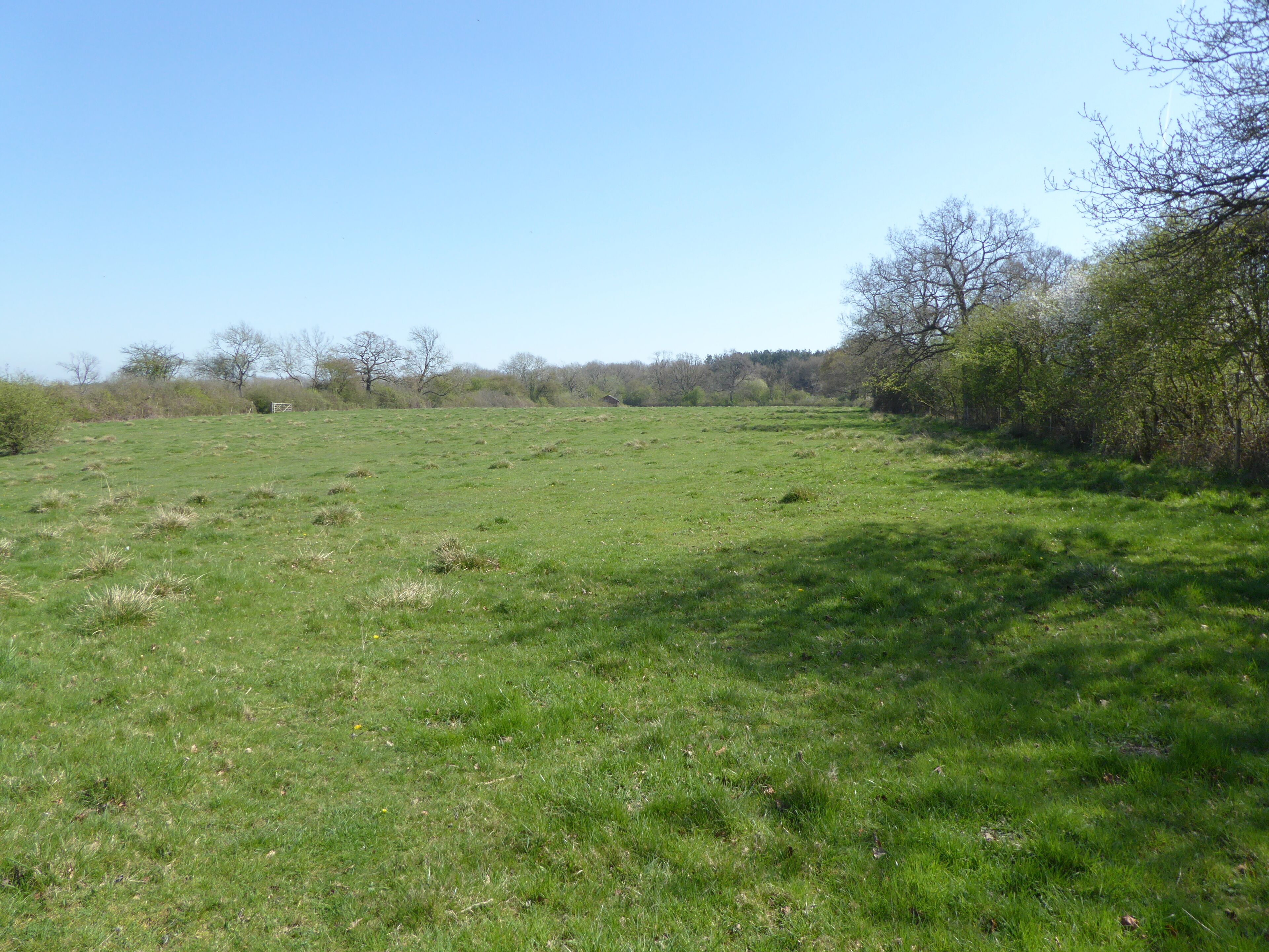 Bucknell Wood Meadows is a biological Site of Special Scientific Interest north-west of Silverstone in Northamptonshire.