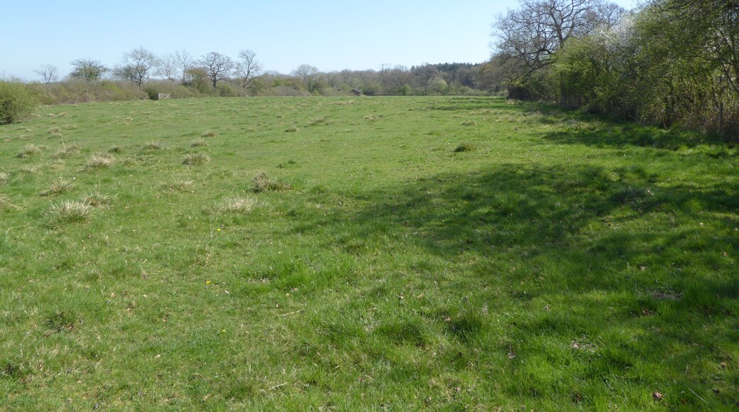 Bucknell Wood Meadows is a biological Site of Special Scientific Interest north-west of Silverstone in Northamptonshire.