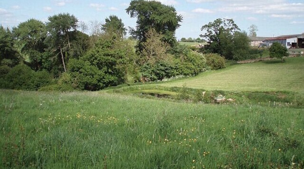 View from footpath. The start of this footpath is almost invisible - the stile and signpost are hidden in the hedge. See 441181