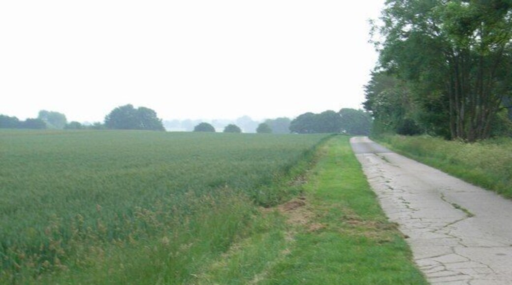 Driveway to Hill Farm The driveway is also a bridleway. Hill Farm is just below the brow of the hill to the left.