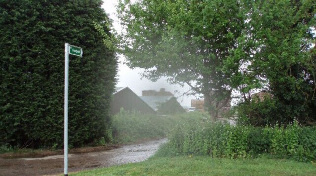 Public footpath through a timber yard This footpath goes right through the middle of the timber yard, with large stacks of planks all around.