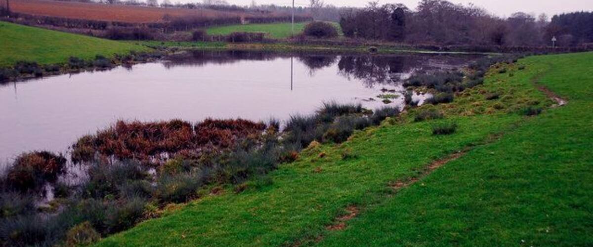 A pond surrounded by green fields and a dirt path.