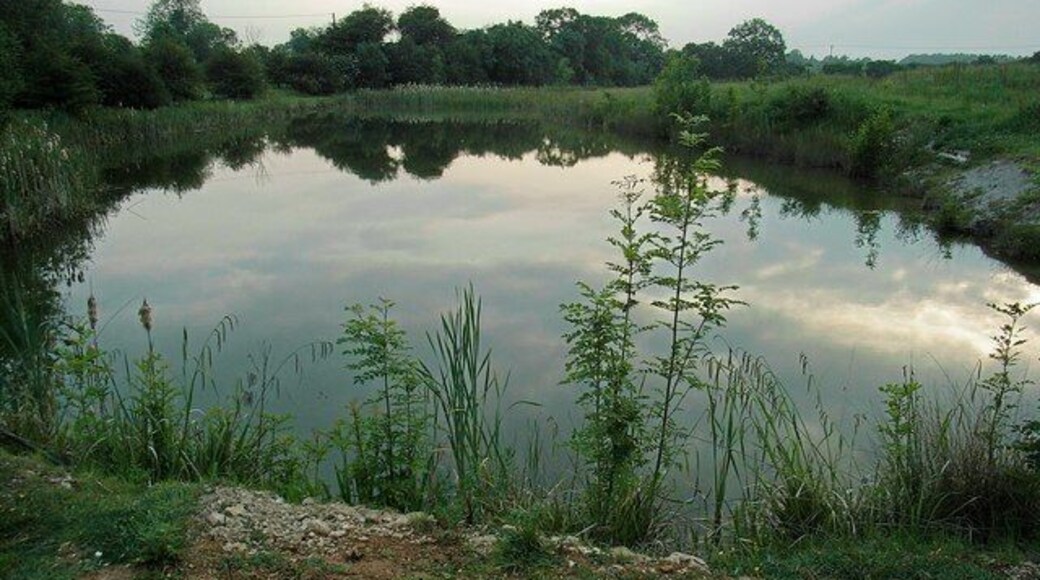 Pond On the site of the former quarry.