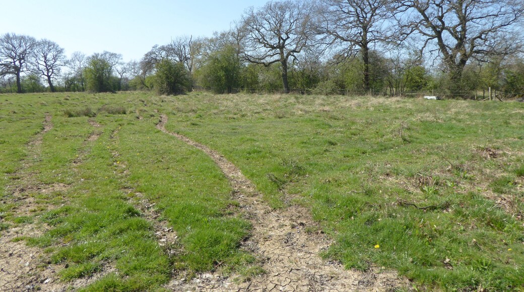 Bucknell Wood Meadows is a biological Site of Special Scientific Interest north-west of Silverstone in Northamptonshire.