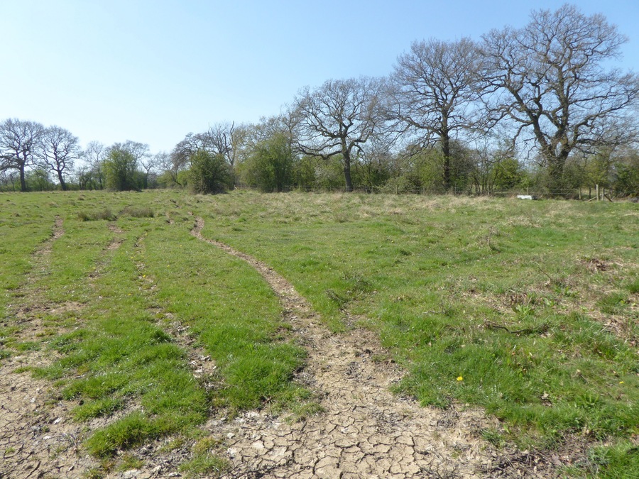 A grassy field with a dirt path, trees, and a fence in the background.