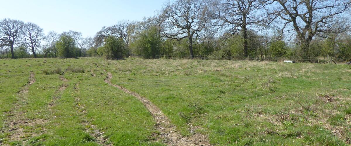 A grassy field with a dirt path, trees, and a fence in the background.