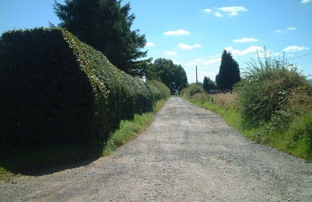 Bridleway south to Walkhamwood Farm