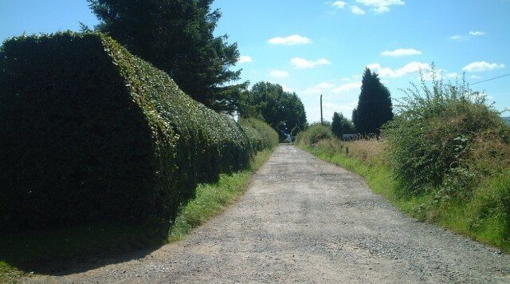 Bridleway south to Walkhamwood Farm