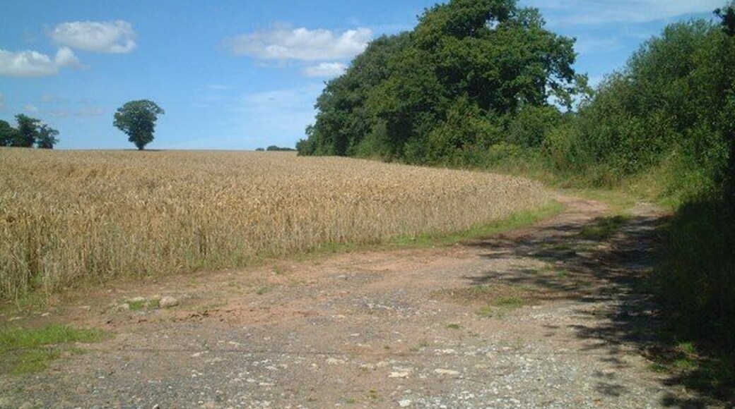 Footpath north from B4364