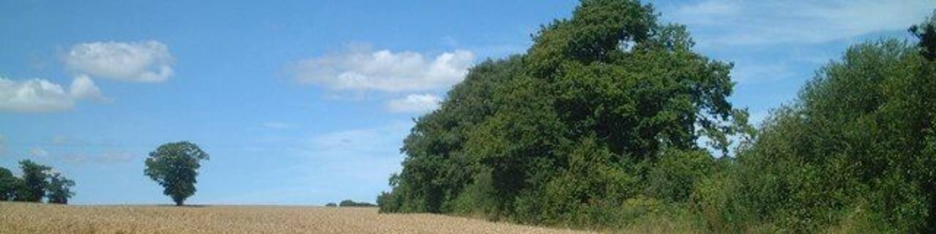 Footpath north from B4364