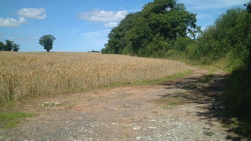 Footpath north from B4364