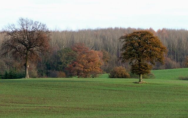 Cropfields and Coppice, Deuxhill, Shropshire The woodland across the valley is Park Coppice.