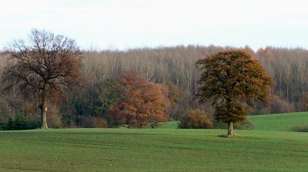 Cropfields and Coppice, Deuxhill, Shropshire The woodland across the valley is Park Coppice.