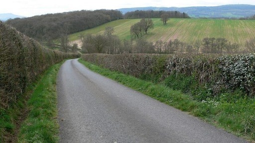 Country lane in Shropshire Looking down the lane towards Winterburn Brook.