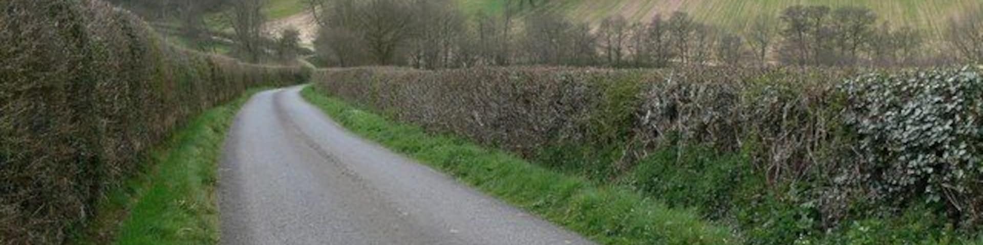 Country lane in Shropshire Looking down the lane towards Winterburn Brook.