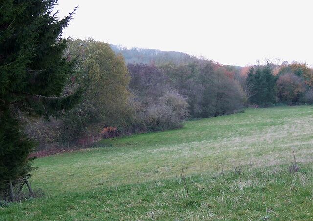 Grazing Land, Middleton Scriven, Shropshire There is extensive grazing land to the right, presently occupied by cattle. A public footpath crosses it. There is a stile into this field (just visible by the trees on the right). The public footpath should then enter the trees to cross the dingle.
