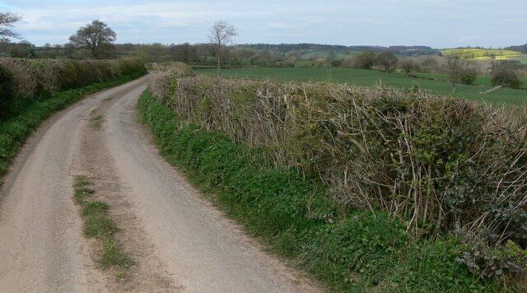 Northwood Lane, Shropshire