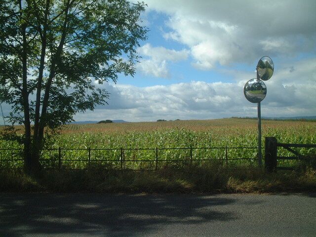 Crops to the west of St Peters Crop fields to the west of St Peters Chelmarsh, looking to Clee Hills.