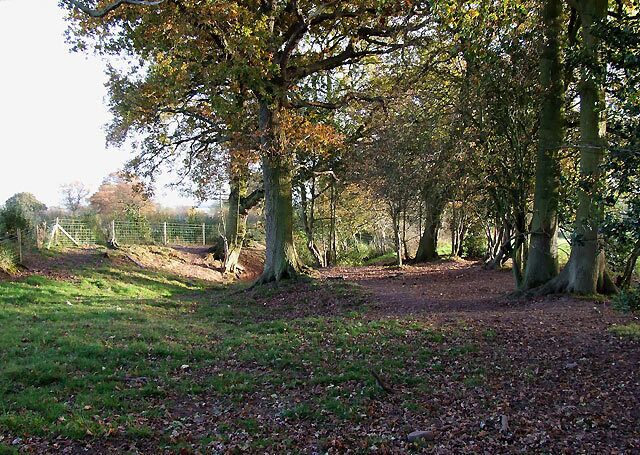 Bridleway to Aston Botterell, Shropshire As the public bridleway drops down here through the trees towards Aston Botterell, the way becomes more of a stream bed for the next couple of hundred metres..
