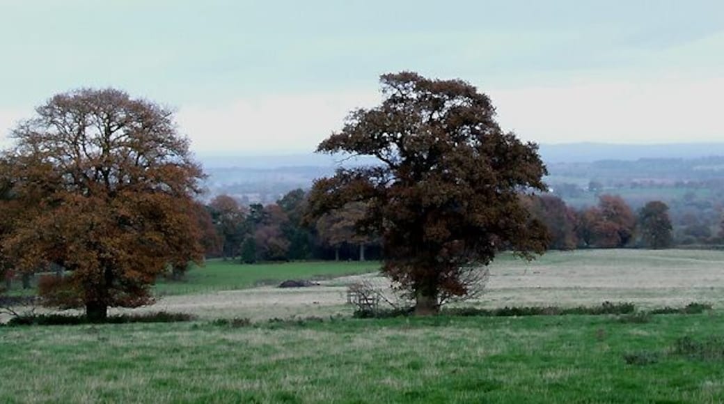 Landscape near Burwarton, Shropshire In the fading light of a November afternoon.