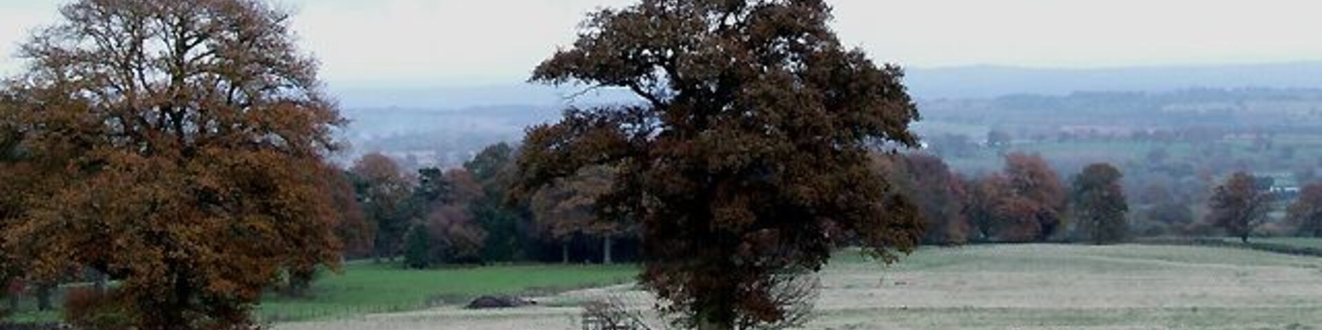 Landscape near Burwarton, Shropshire In the fading light of a November afternoon.