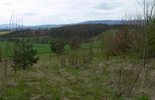 View across Shropshire countryside Photographed looking southeast from close to the junction at Winterburn Bridge