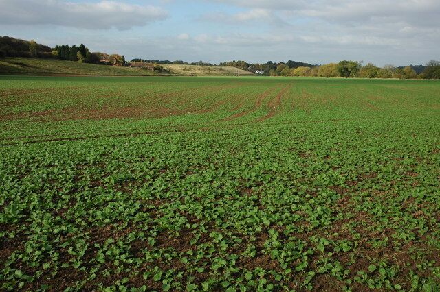 Arable land beside the Severn Arable land beside the Severn near Chelmarsh.