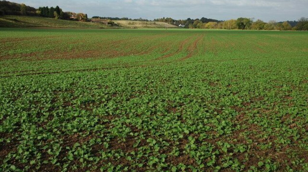 Arable land beside the Severn Arable land beside the Severn near Chelmarsh.