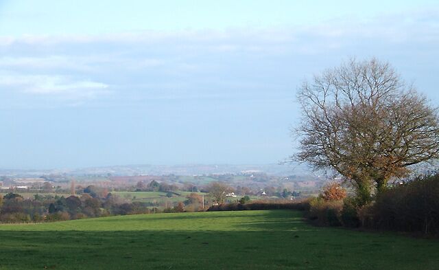 A grassy field with a large tree and a distant view of a town.