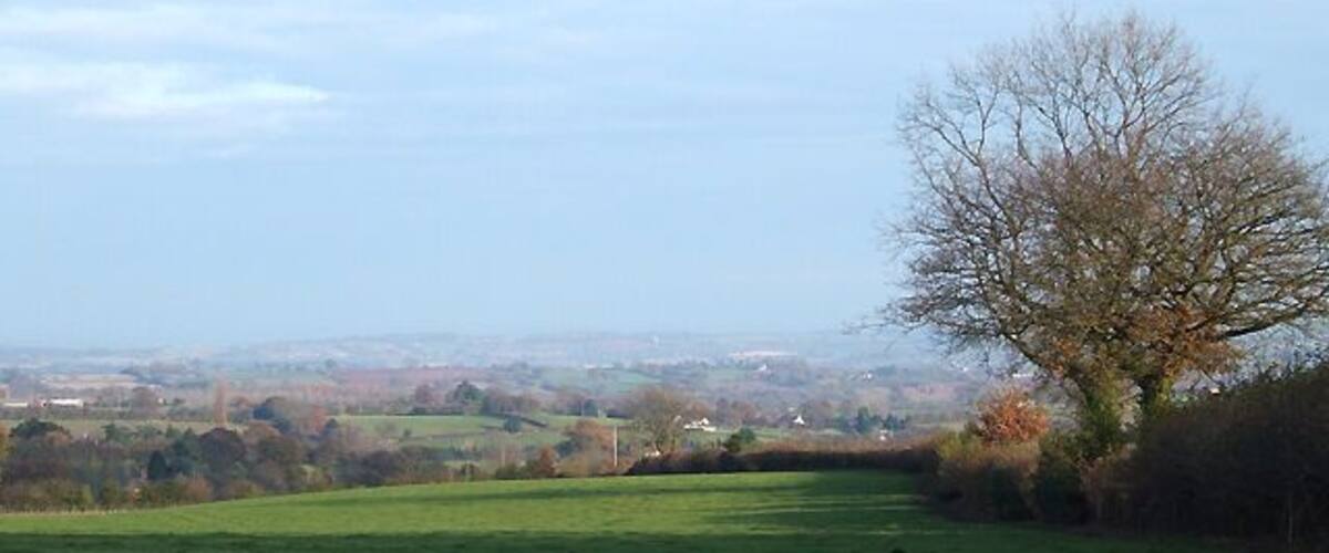A grassy field with a large tree and a distant view of a town.