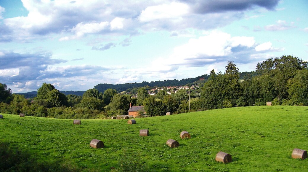 on the Severn Valley Steam Railway