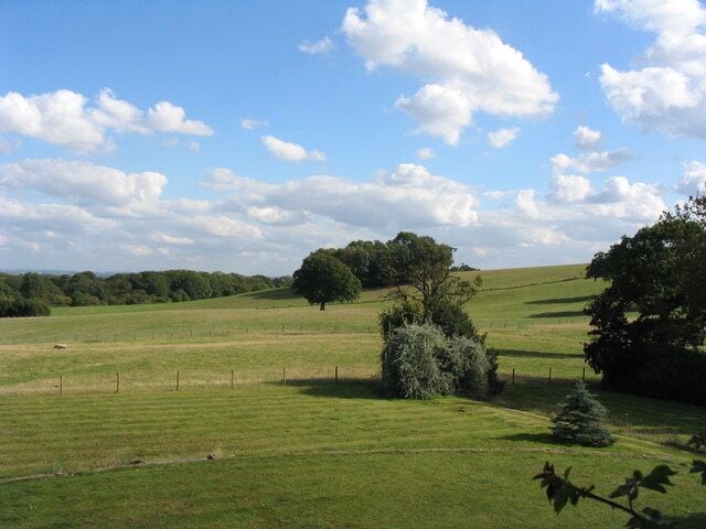 Pasture land at Albynes farm