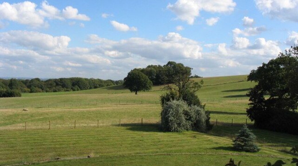 Pasture land at Albynes farm