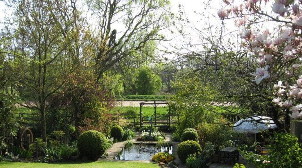 Poplar Cottage garden This cottage garden is part of the Gardens Open scheme raising money for the upkeep of local churches. It is one third of an acre of flower arrangers garden with a wide range of plants, bulbs and spring flowers. Just an English garden at its best.