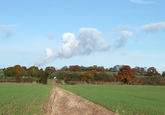 Bridleway over Crop Fields, near Haughton, Shropshire
