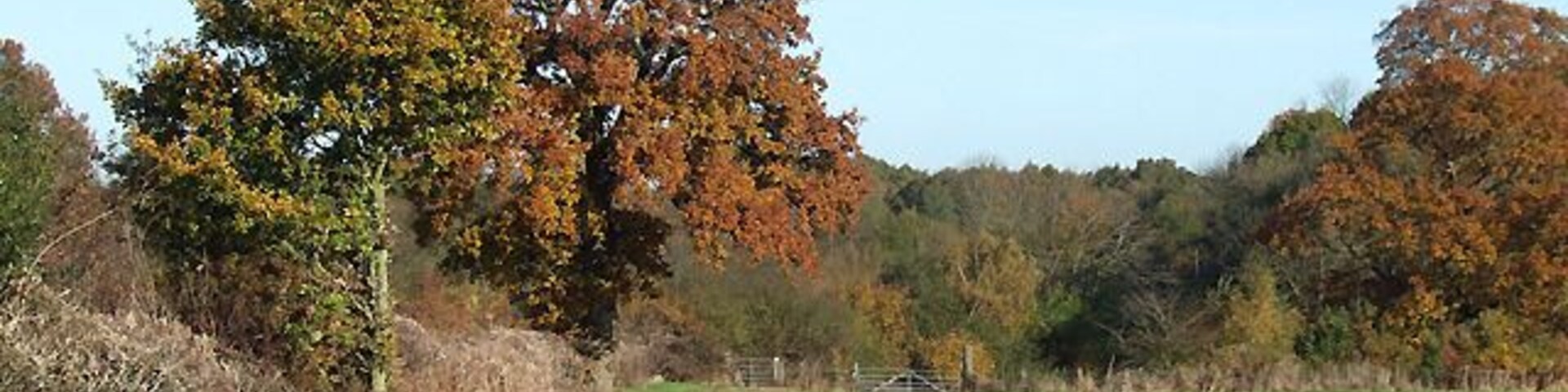 Towards Stocking Lane, near Nordley, Shropshire The bridleway from Kingsley's Farm follows the field edge here, and enters Stocking Lane (unsurfaced) through the gate in the corner of the field.