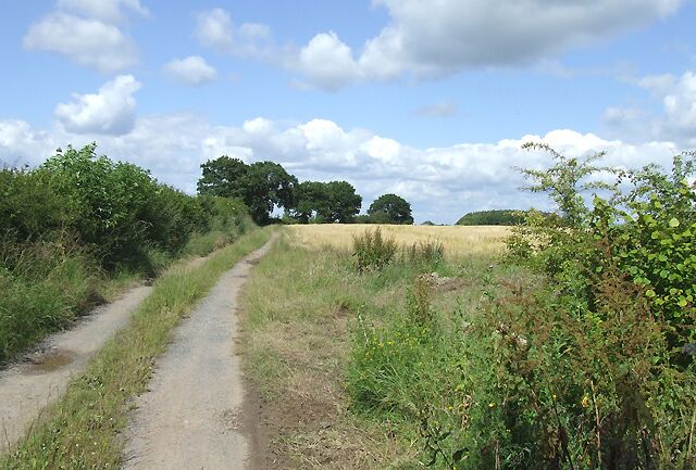 Farm Road north of New House Farm It is difficult to understand why such a track, leading only into some fields used for cereal crops, should have been given a proper road surface for the first two hundred metres. Beyond that it is still surfaced - with stones.