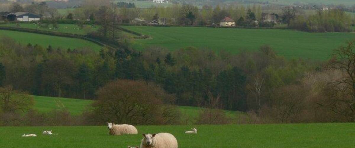 Farmland near Wall Furlong Farm, Shropshire