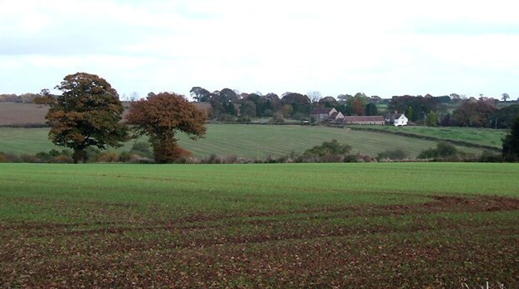 Crop Fields, Middleton Priors, Shropshire The line of a brook crossing the picture is revealed by the trees and shrubs. North Farm is the distant cluster of buildings.