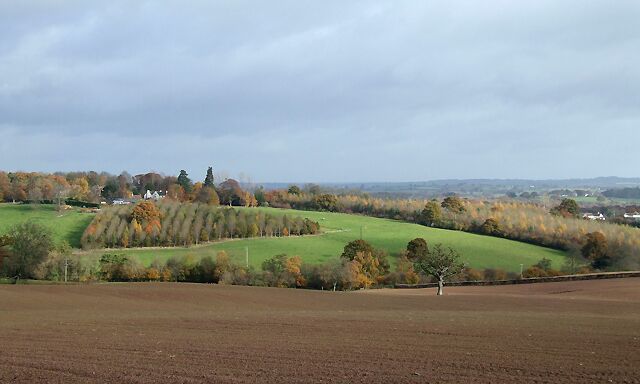 Farmland near Stottesdon, Shropshire