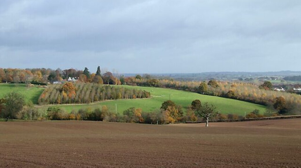 Farmland near Stottesdon, Shropshire