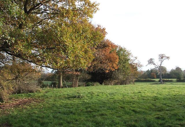 Grazing Land near Burwarton, Shropshire Late afternoon sun seems to enhance the autumnal colours.