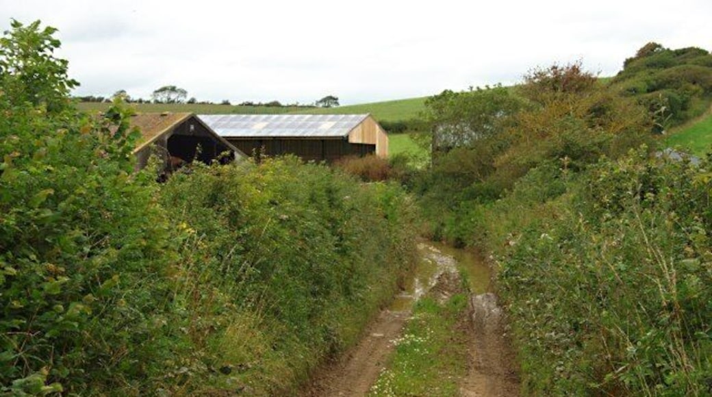 Milvers Lane Modern barns and some flooding on this farm lane as it goes through the dip.