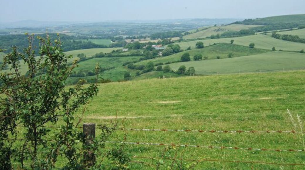 View looking towards Eggardon Farms Taken from the roadside near Askerswell. In the far distance is Eggardon Farms, and to the right out of view, is the ancient hillfort Eggardon Hill.
